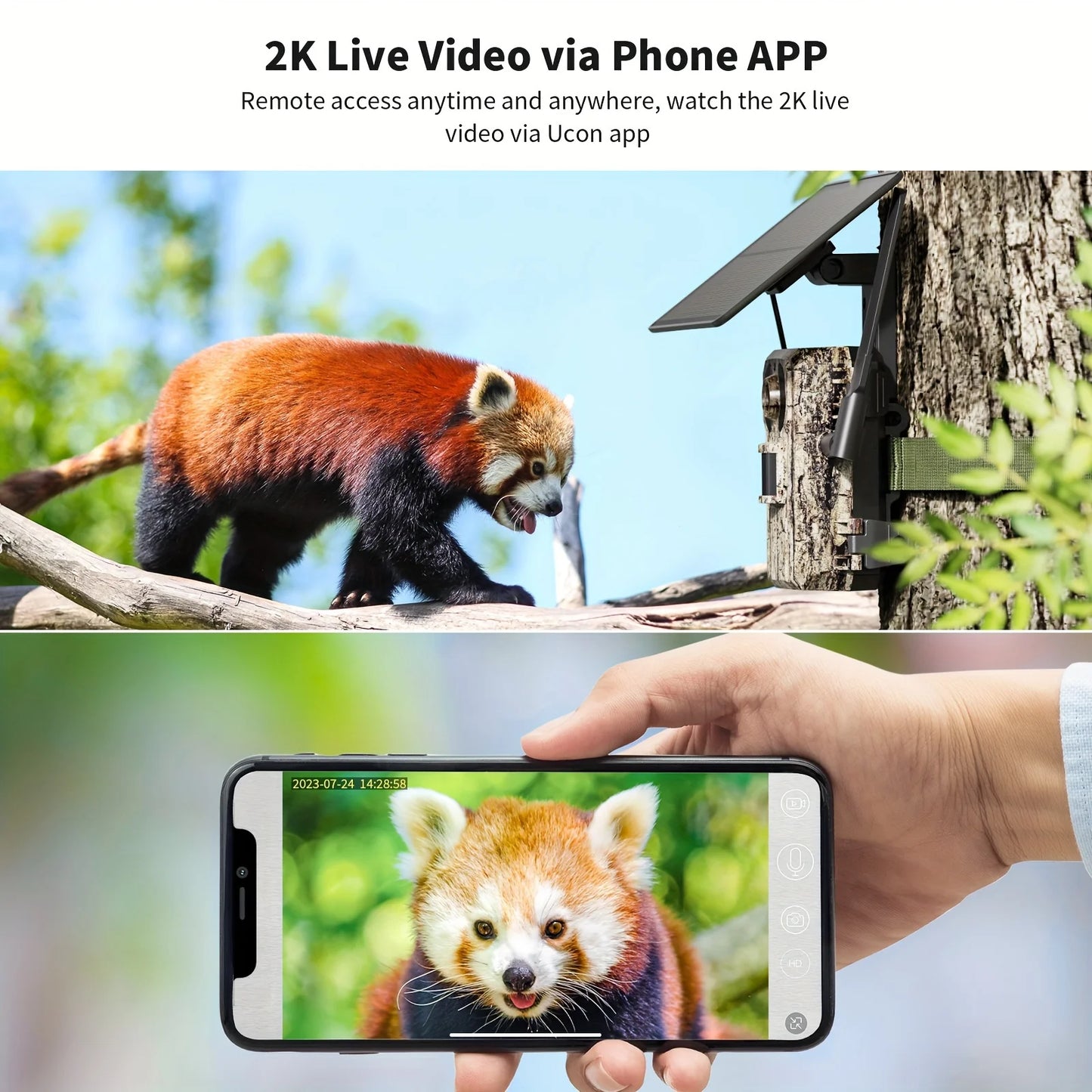 4G LTE Cellular Trail Camera With Live Streaming 2K
